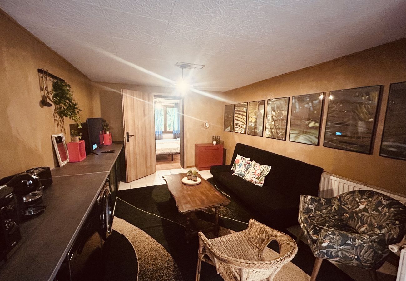 Apartment in Hombourg-Haut - Appartement Hombourg-Haut 1 chambre 2 lits simples