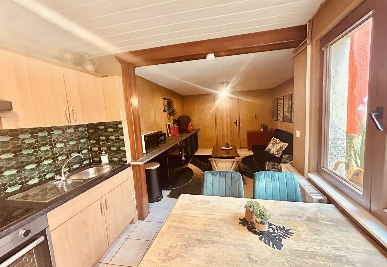 Apartment in Hombourg-Haut - Appartement Hombourg-Haut 1 chambre 2 lits simples